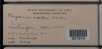 Image Associated With the Occurence